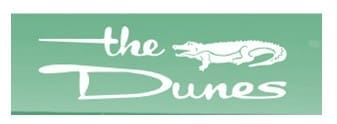 the dunes